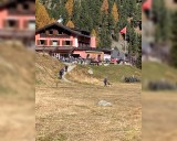 Restaurant Hotel Roseg Gletscher